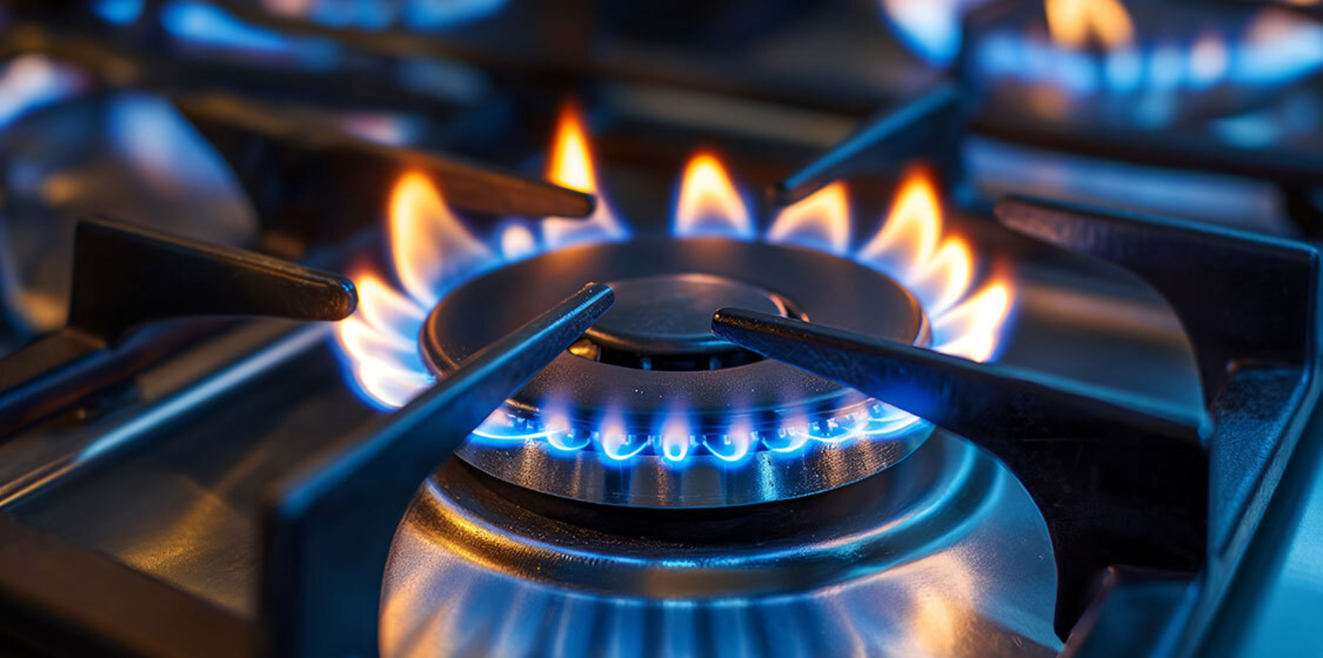 Gas Certification Courses